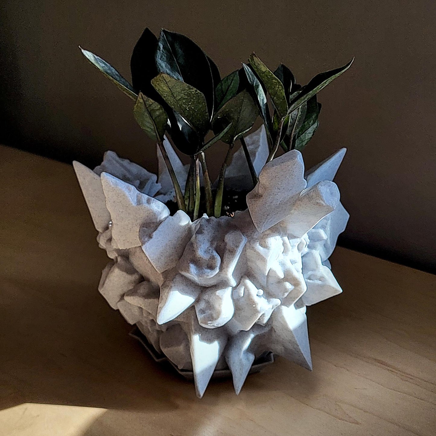 Thornyx Planter — Sculptural 8″ Planter with Integrated Water Catch