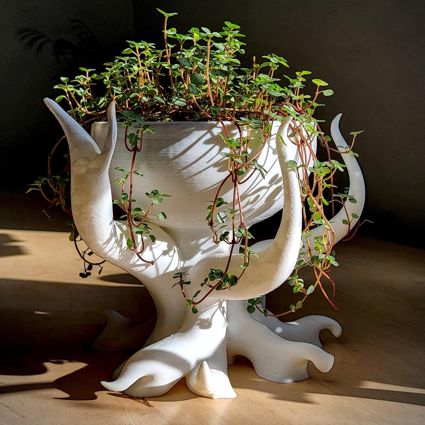 Seraphella Planter — Sculptural 8″ Planter with Integrated Water Catch