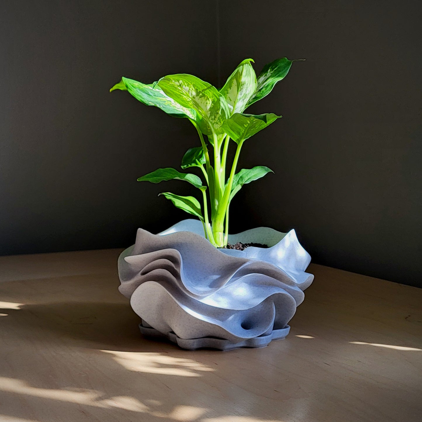 Aeris Planter — Sculptural 8″ Planter with Integrated Water Catch