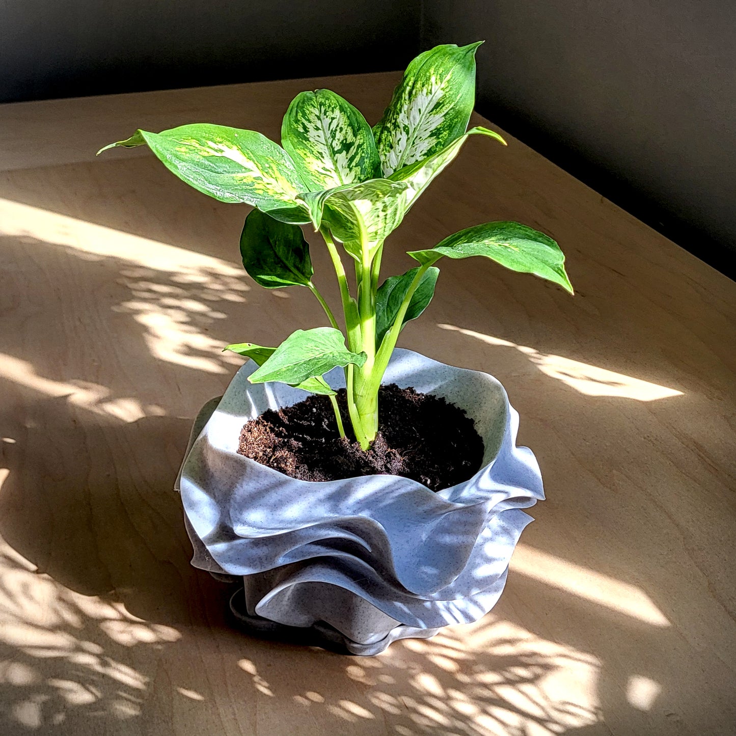 Aeris Planter — Sculptural 8″ Planter with Integrated Water Catch