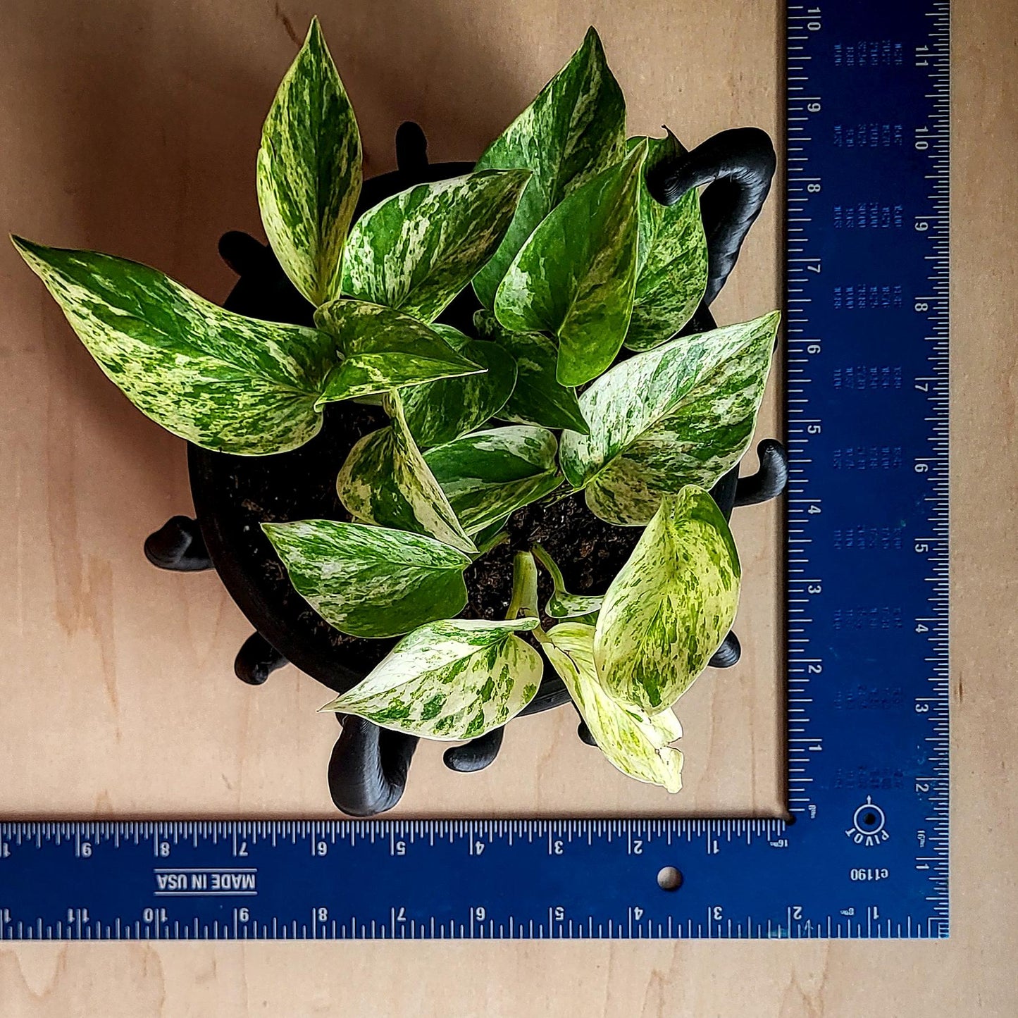 Noctaura Planter — Sculptural 9″ Planter