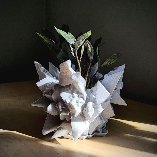 Thornyx Planter — Sculptural 8″ Planter with Integrated Water Catch