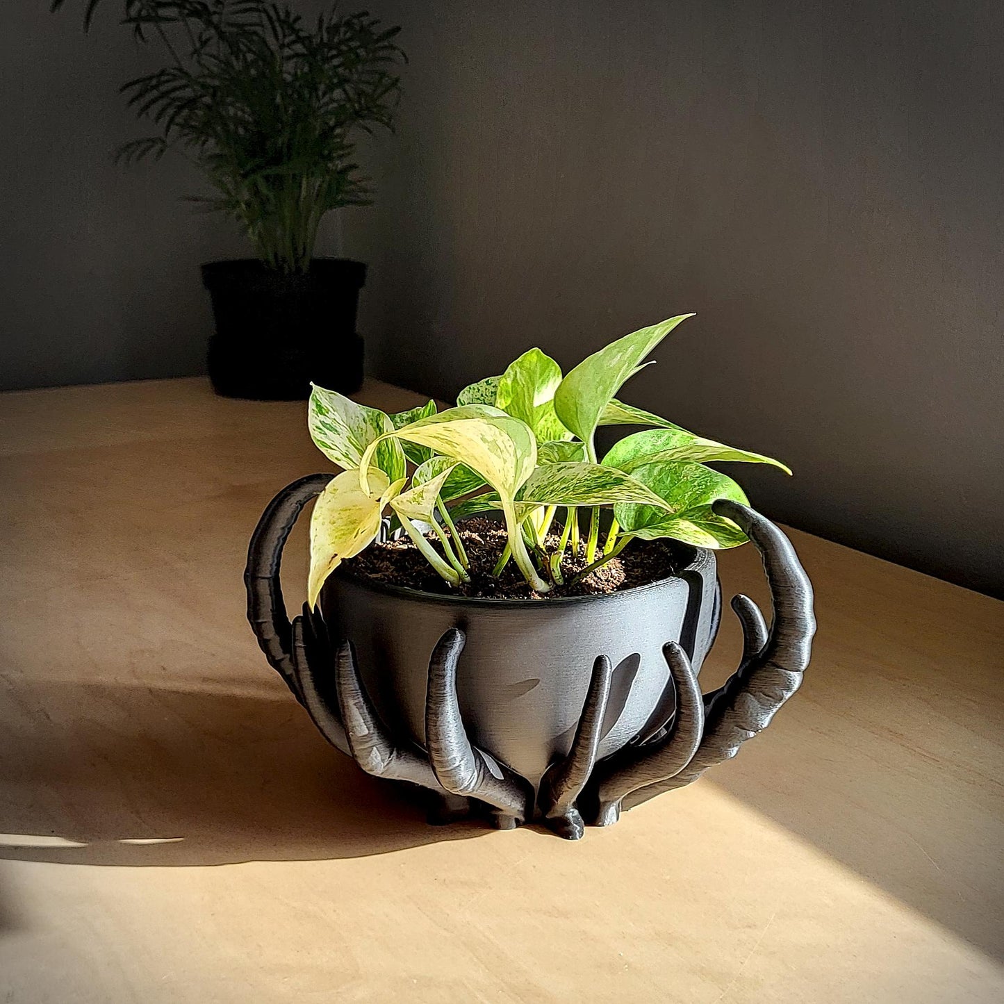 Noctaura Planter — Sculptural 9″ Planter