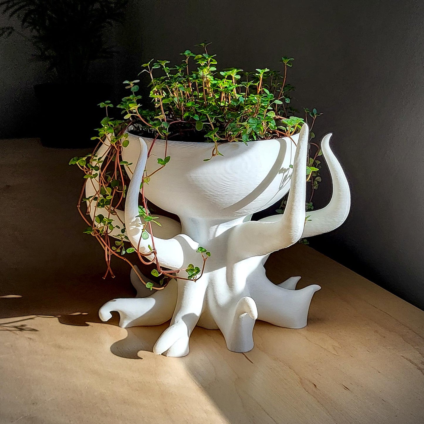 Seraphella Planter — Sculptural 8″ Planter with Integrated Water Catch