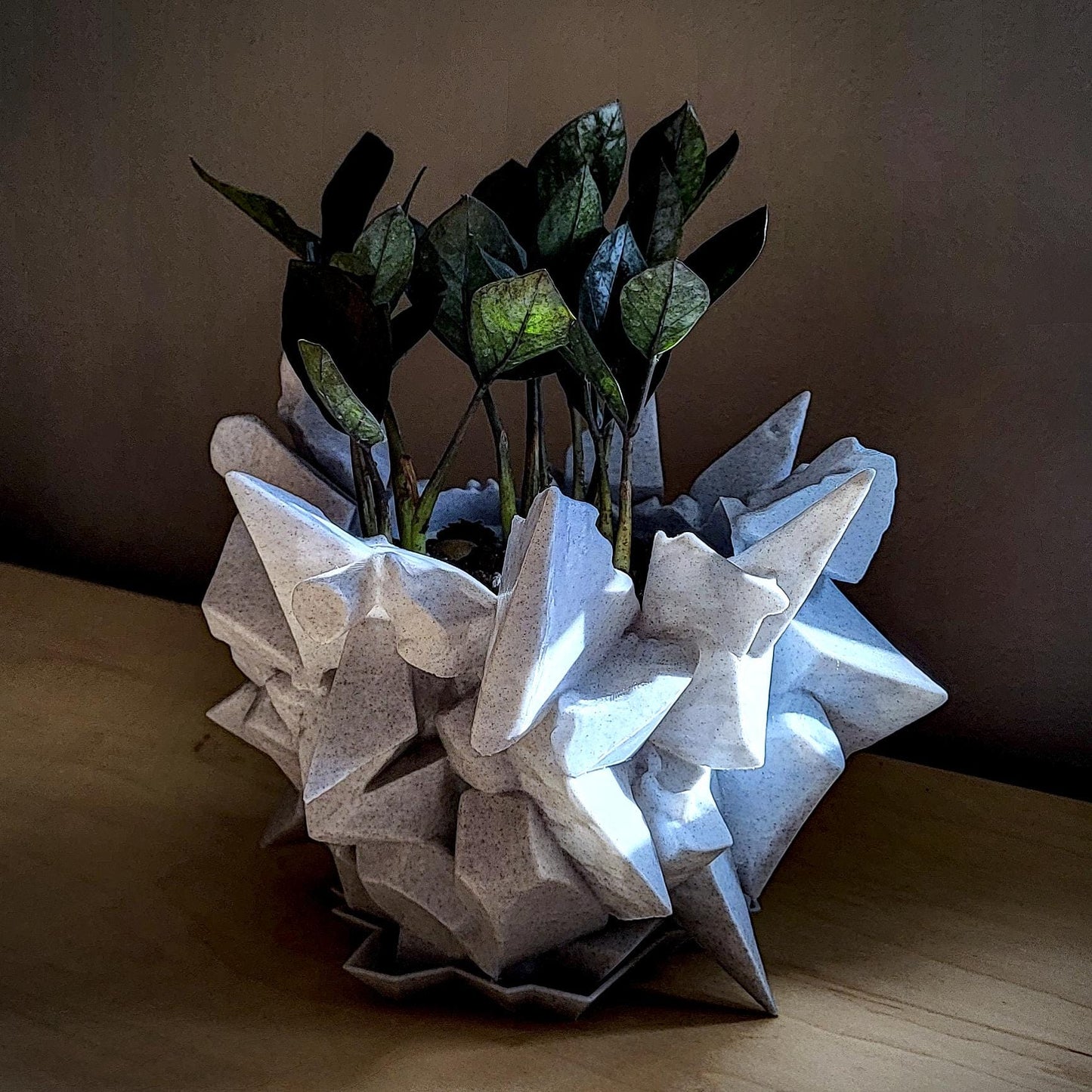 Thornyx Planter — Sculptural 8″ Planter with Integrated Water Catch
