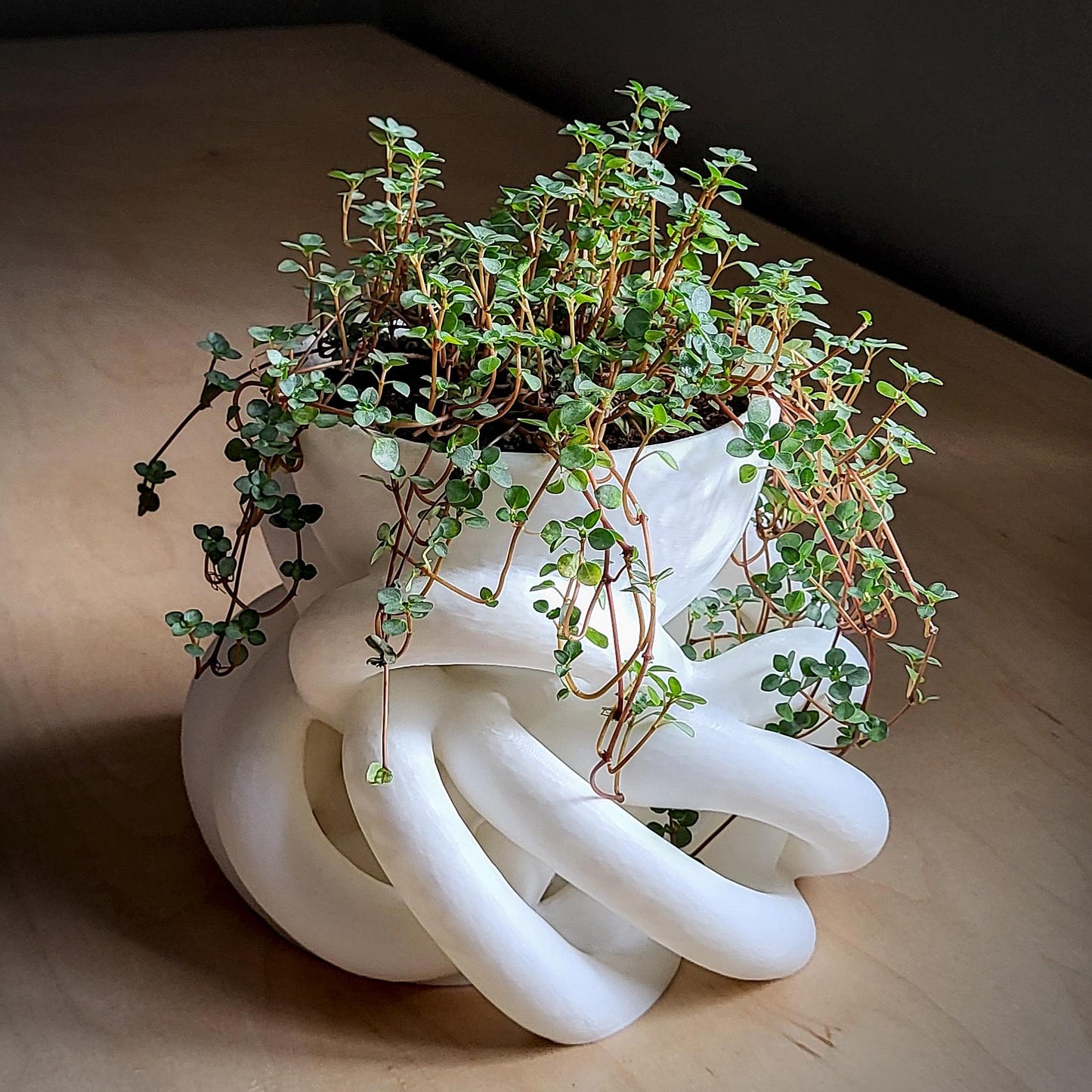 Interlace Planter — Sculptural 8″ Planter with Integrated Water Catch