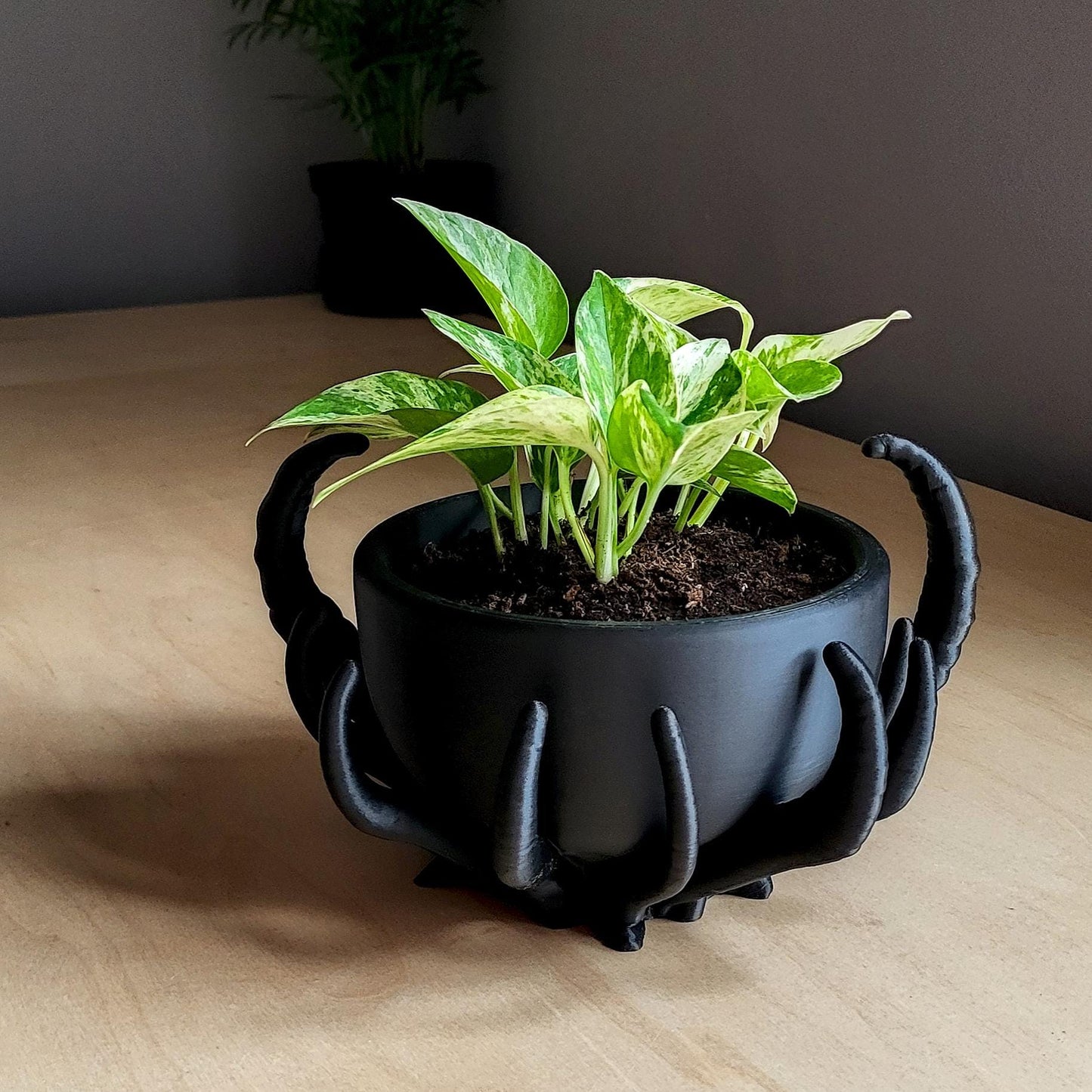 Noctaura Planter — Sculptural 9″ Planter