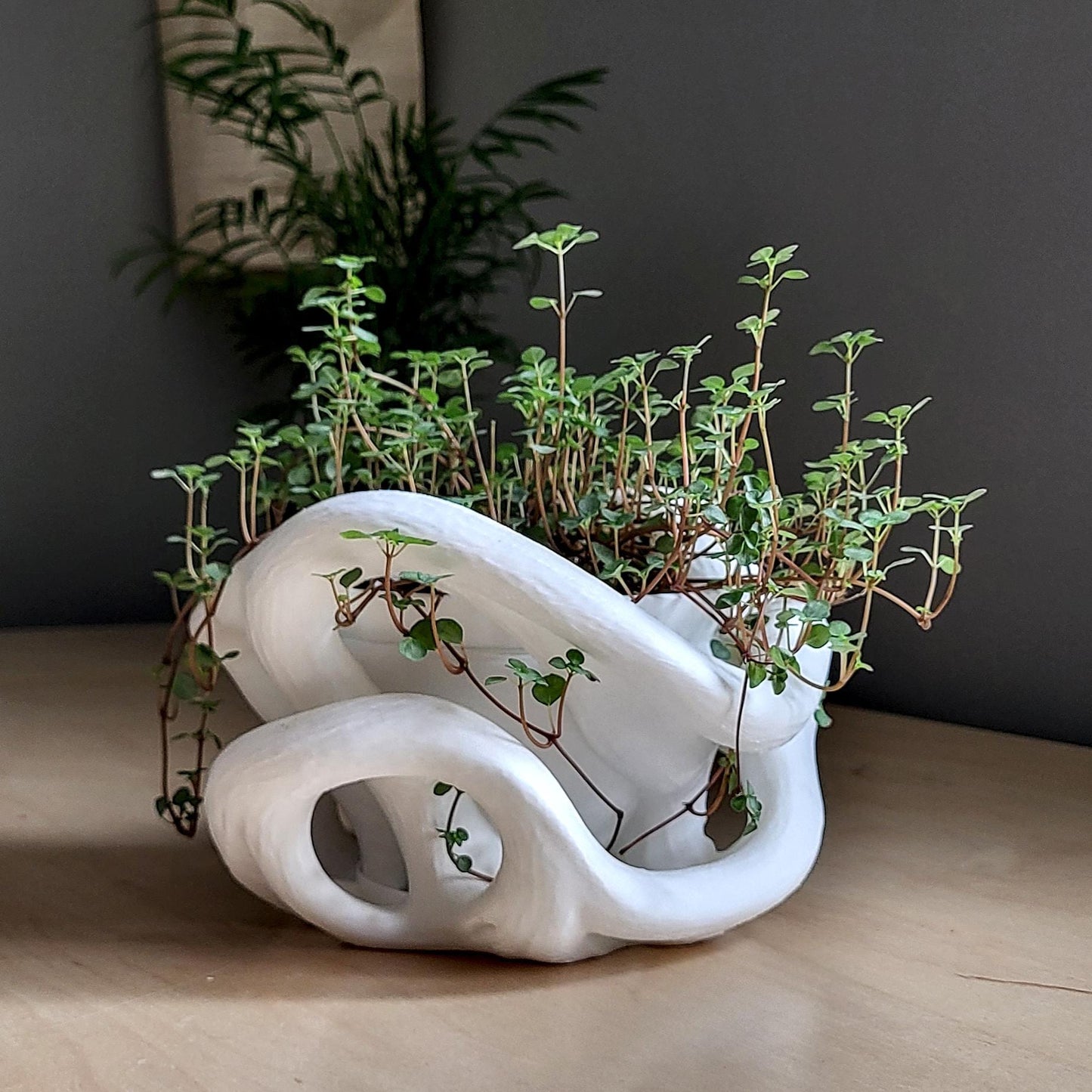 Helix Planter — Sculptural 8″ Planter with Hidden Water Catch