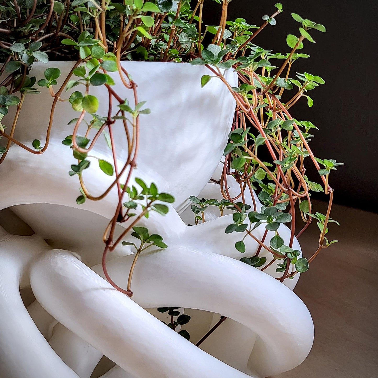 Interlace Planter — Sculptural 8″ Planter with Integrated Water Catch