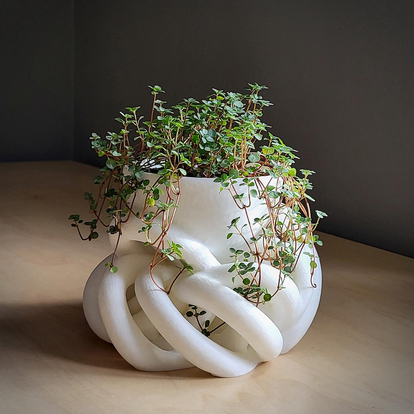 Interlace Planter — Sculptural 8″ Planter with Integrated Water Catch