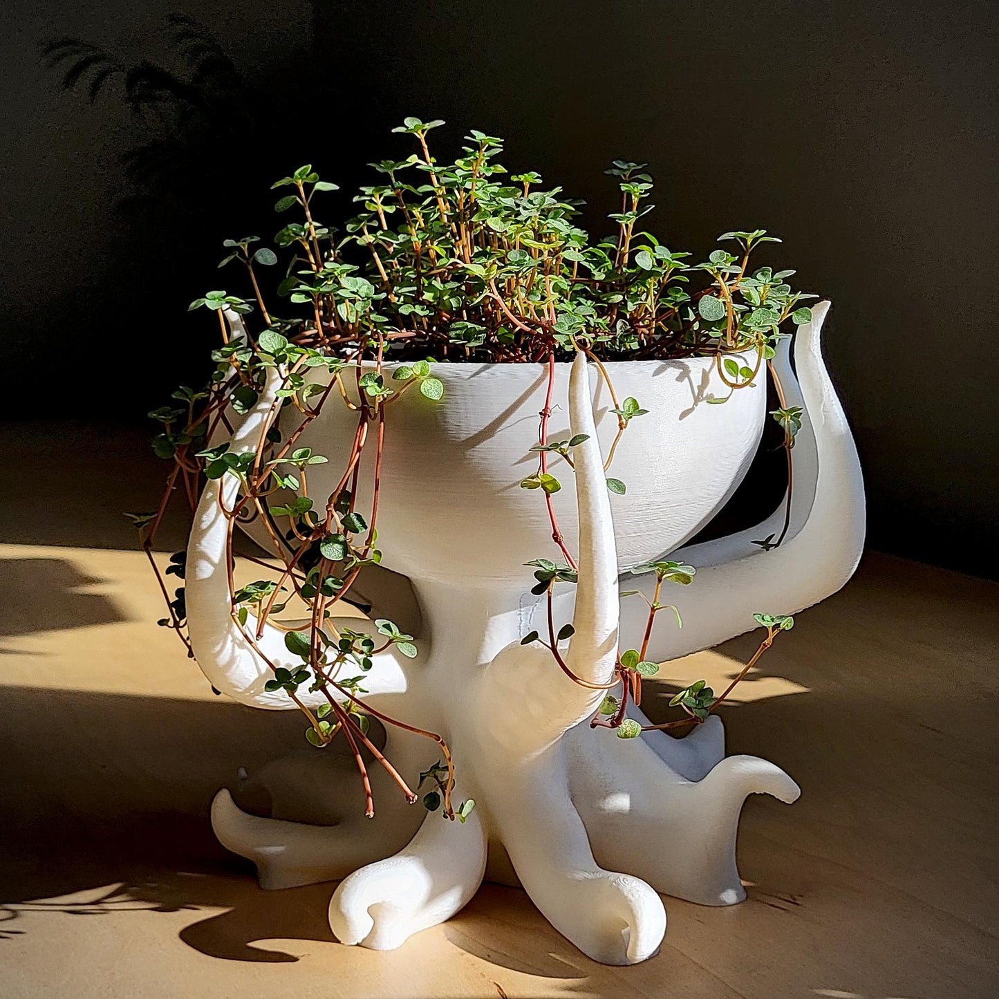 Seraphella Planter — Sculptural 8″ Planter with Integrated Water Catch