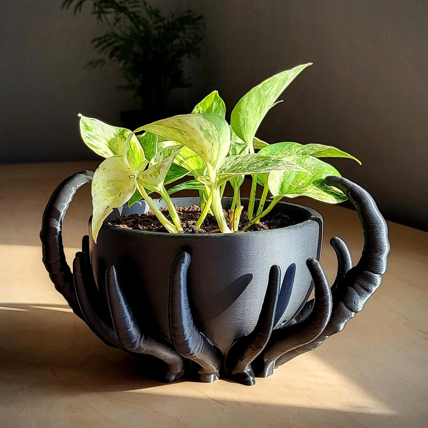 Noctaura Planter — Sculptural 9″ Planter