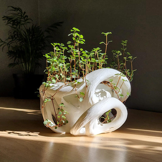 Helix Planter — Sculptural 8″ Planter with Hidden Water Catch